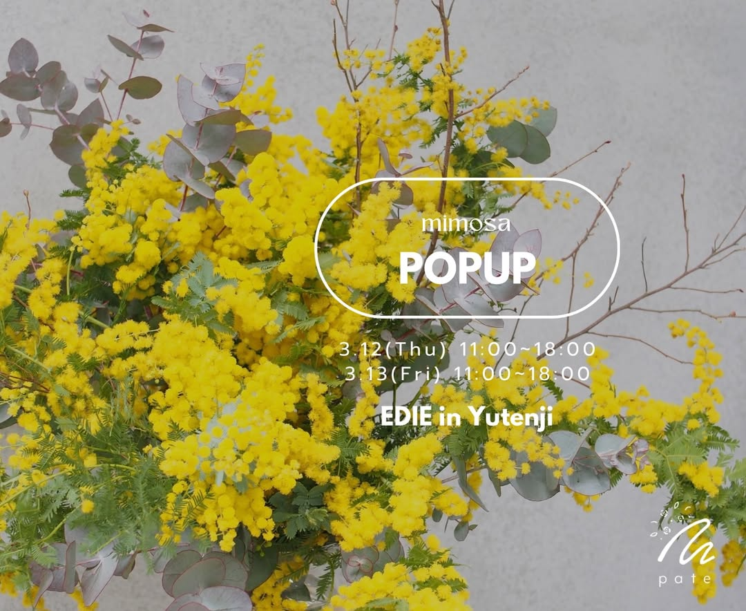 pateがmimosa POPUPをEDIEで開催、旬のミモザと季節の花を販売するイベント