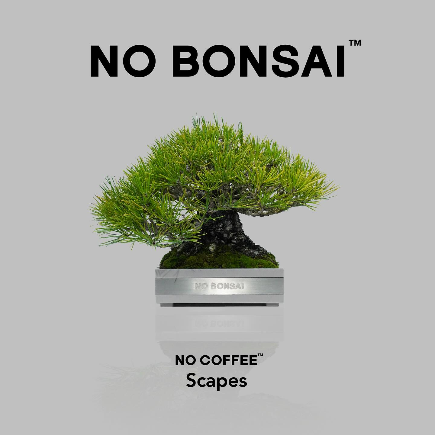 NO BONSAIが福岡で第2回イベントを開催、現代的な盆栽の新提案とカフェ NO BONSAIが福岡で第2回イベントを開催、現代的な盆栽の新提案とカフェ