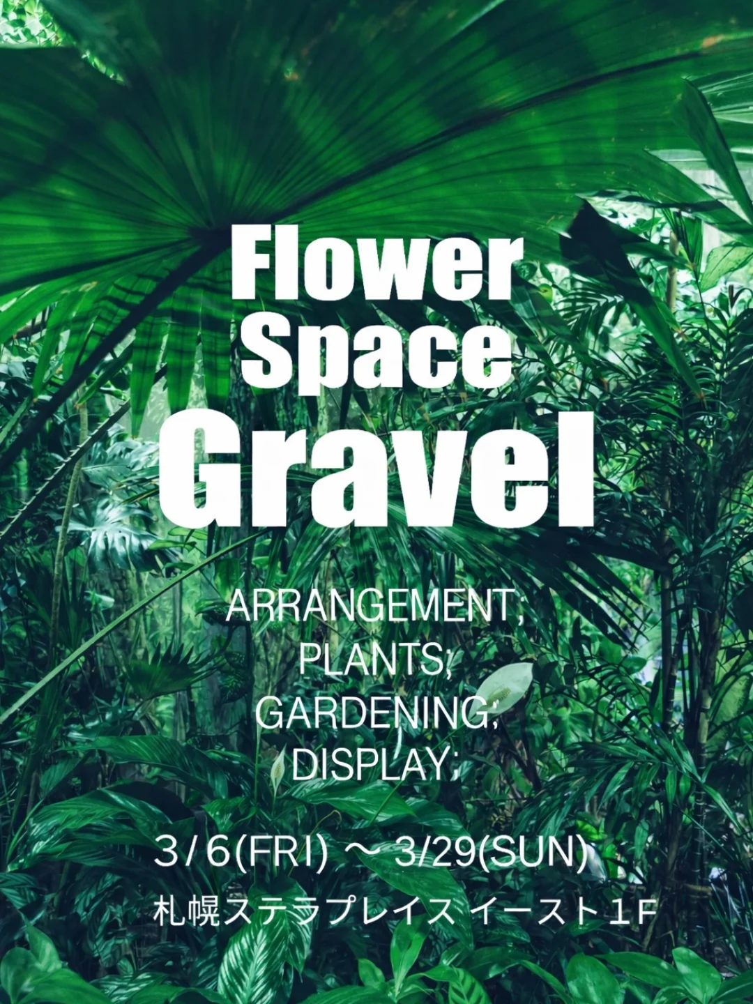 Flower Space Gravelが札幌ステラプレイスでPOPUP開催、塊根植物と盆栽の植物展示販売