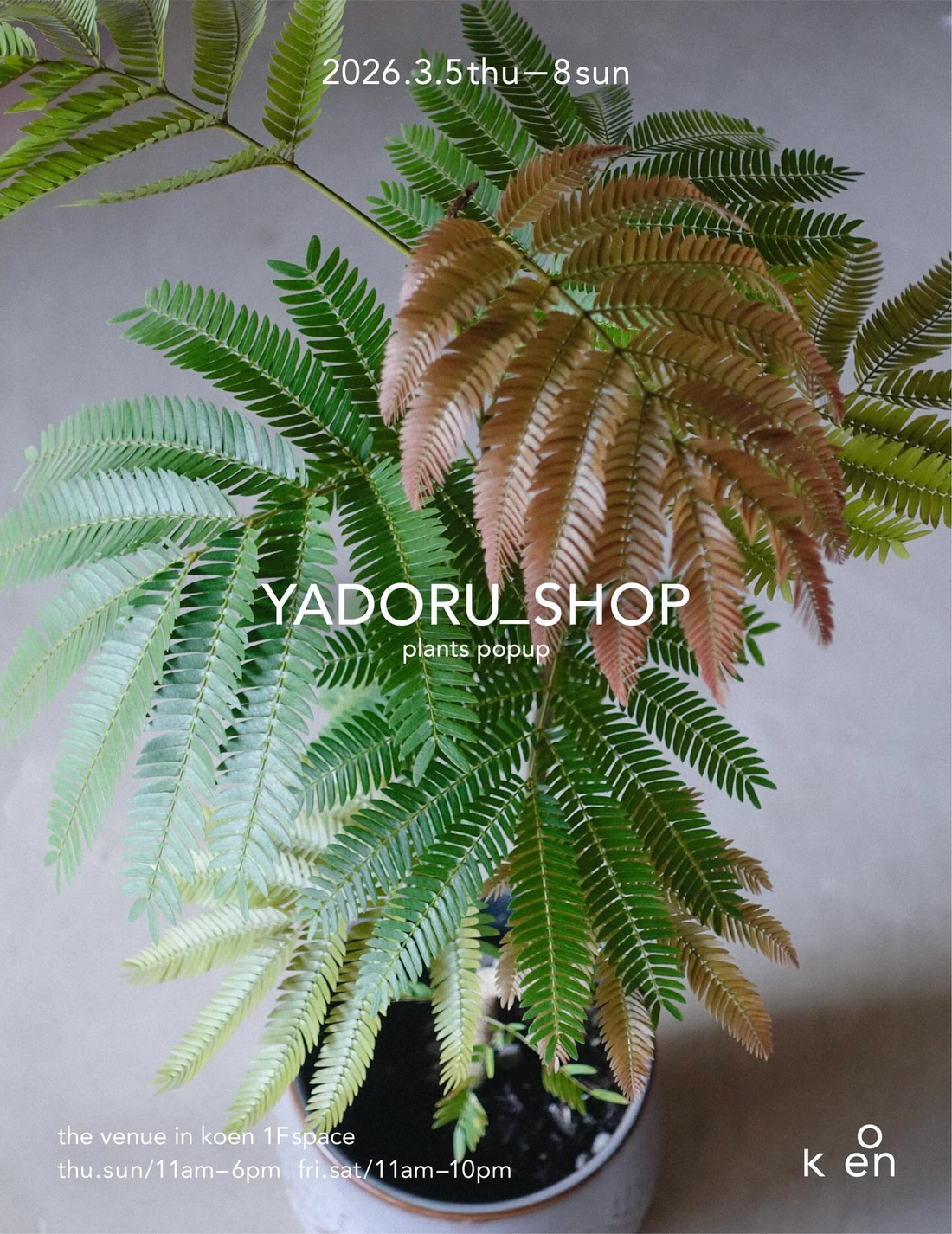YADORU_SHOP plants popup vol.10が京都koenで開催、個性豊かな植物の販売会