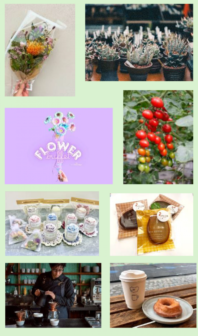 横浜赤レンガ倉庫がFLOWER GARDEN2026を開催、AGAVE DREAM marchéでアガベと塊根植物販売