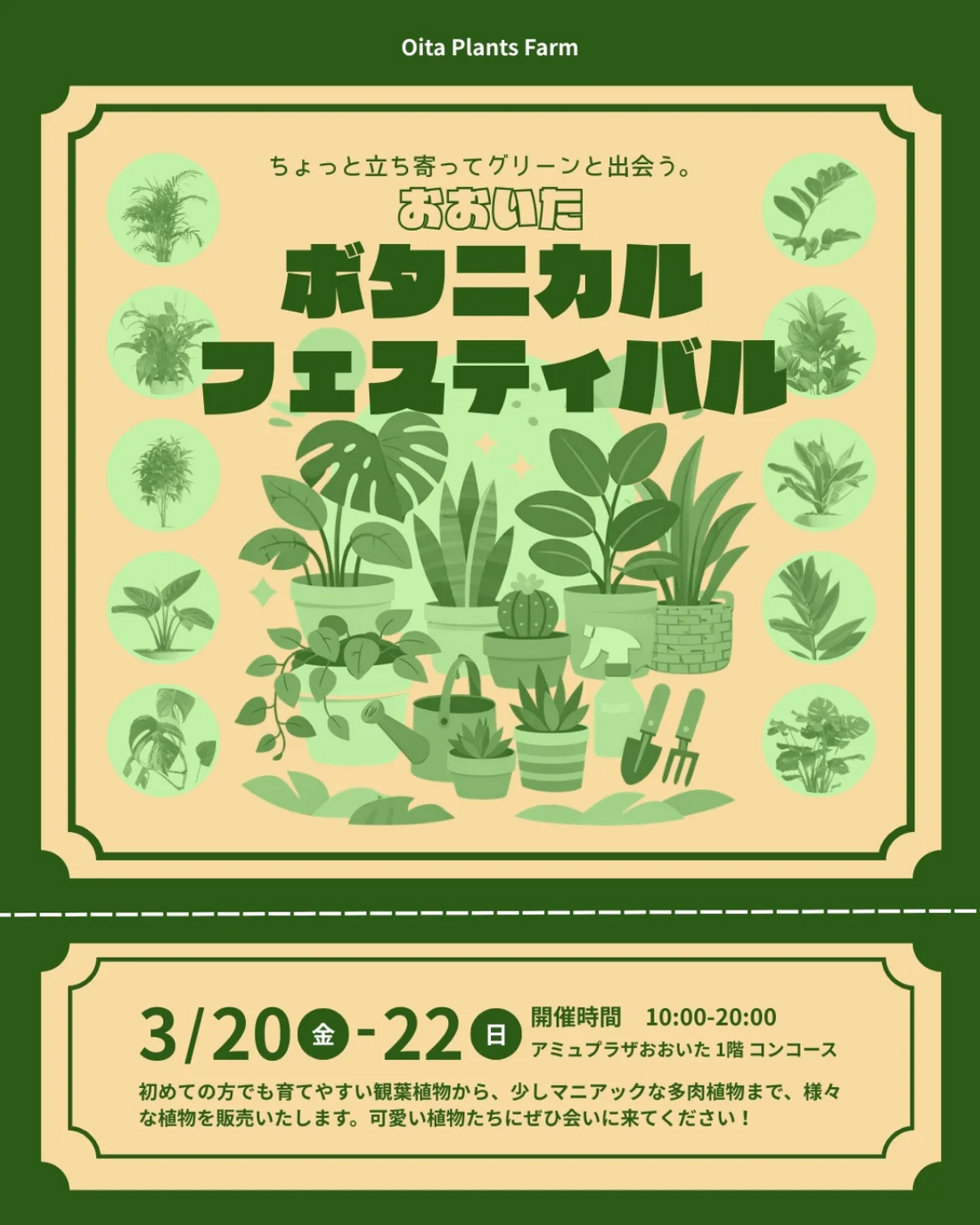 育成環境と出品予定の植物です。 おおいたボタニカルフェスティバル2026が開催、観葉植物と多肉植物の