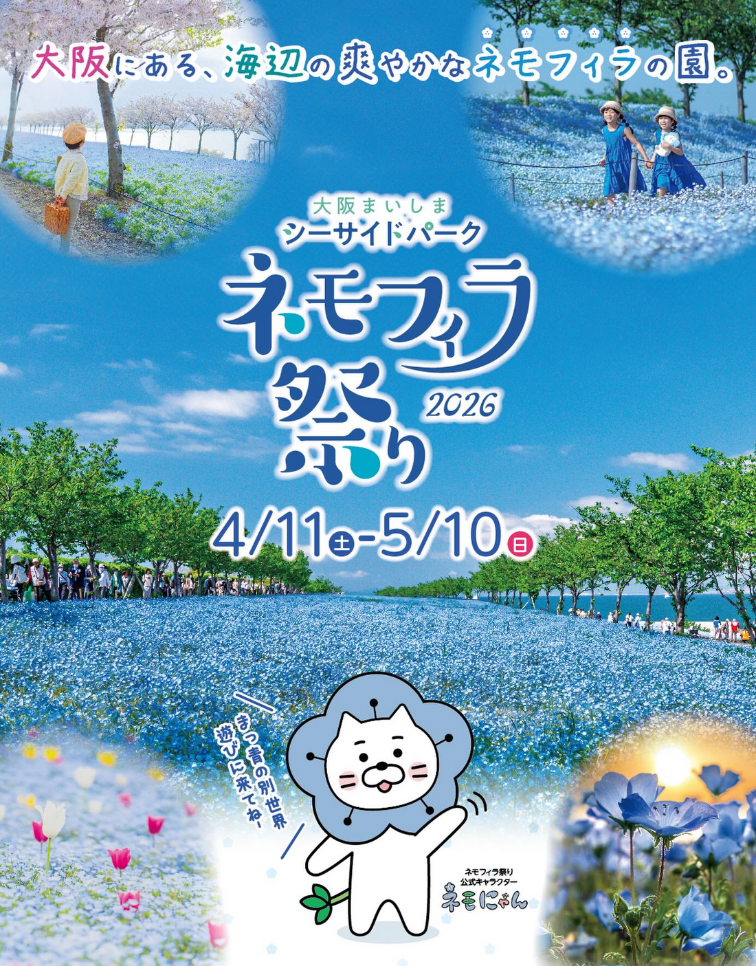 大阪まいしまシーサイドパークがネモフィラ祭り2026を開催、空と海とネモフィラの花景色イベント