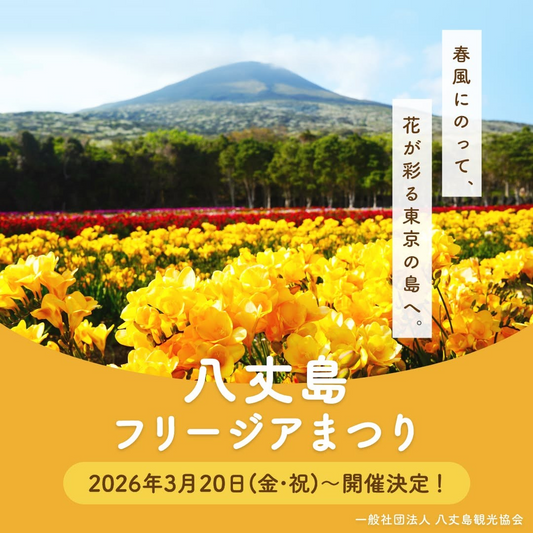 八丈島フリージアまつり2026が開催、八形山フリージア畑で春の花イベント実施