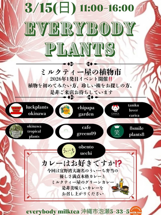 EVERYBODYPLANTSミルクティー屋の植物市2026が開催、沖縄市everybodymilkteaokinawaで植物販売イベント