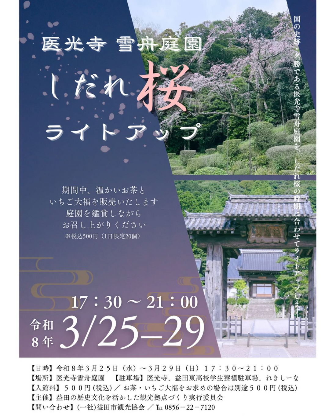 医光寺雪舟庭園がしだれ桜ライトアップ2026を開催、国史跡庭園の夜桜鑑賞が益田市で実施