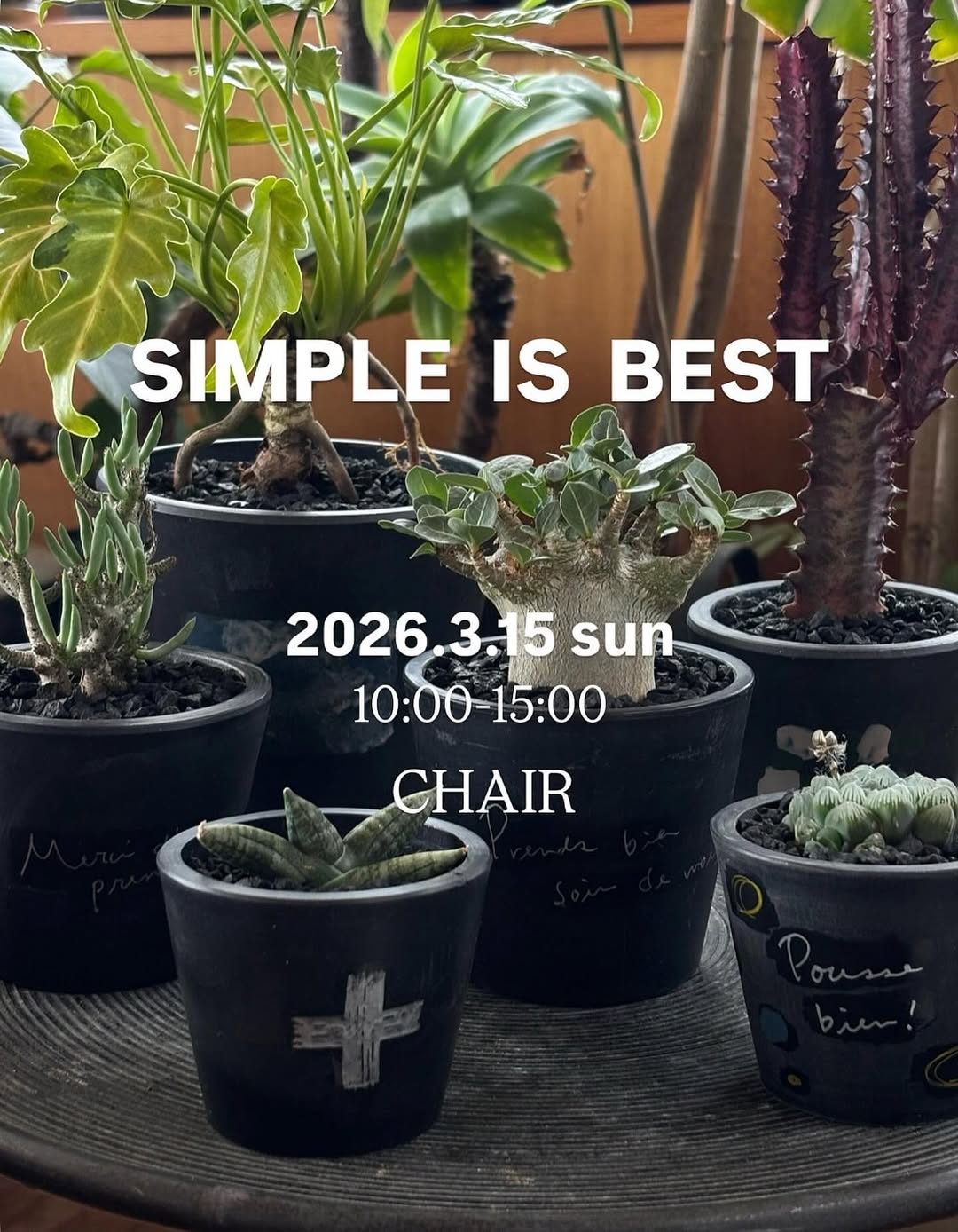 シンプルイズベスト展2026が開催、兵庫県伊丹市CHAIRで作家コラボのアート作品展示販売