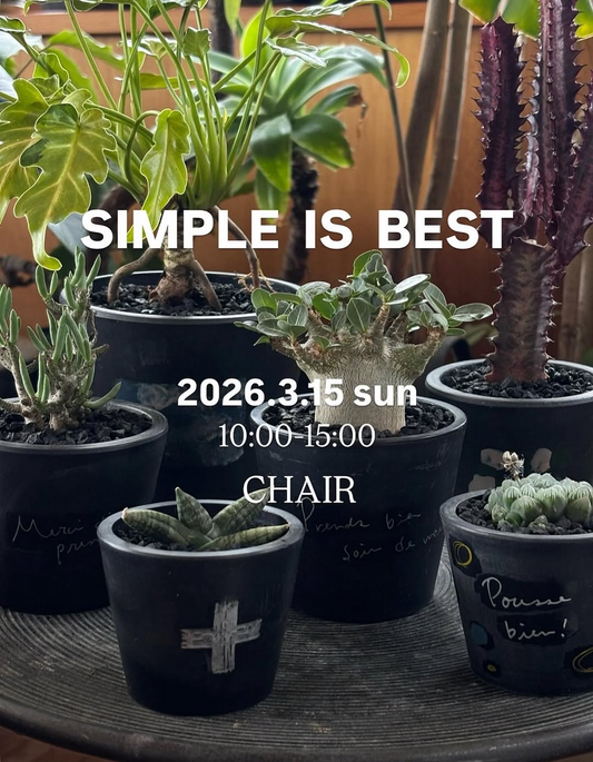 シンプルイズベスト展2026が開催、兵庫県伊丹市CHAIRで作家コラボのアート作品展示販売