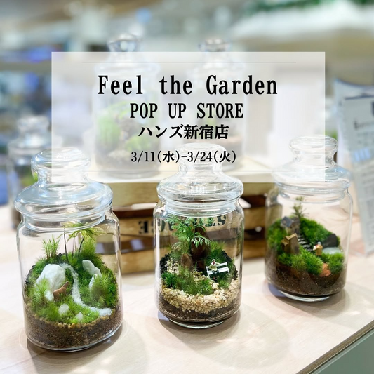 春の新生活に自然をFeel the Garden POP UP STOREが開催、新宿ハンズでテラリウム展示販売イベント