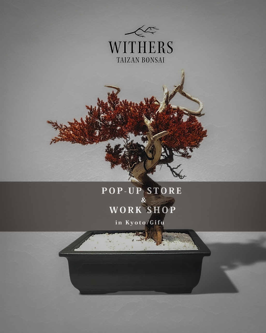 WITHERS TAIZAN BONSAI POP UP STORE2026が岐阜で開催、再生盆栽アート展示販売と制作体験