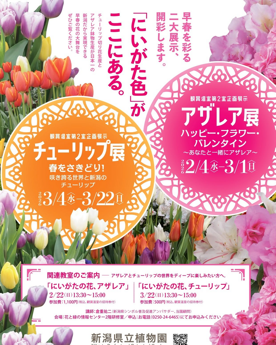新潟県立植物園がにいがたの花チューリップ教室2026を開催、新潟品種の魅力を学ぶ講座イベント