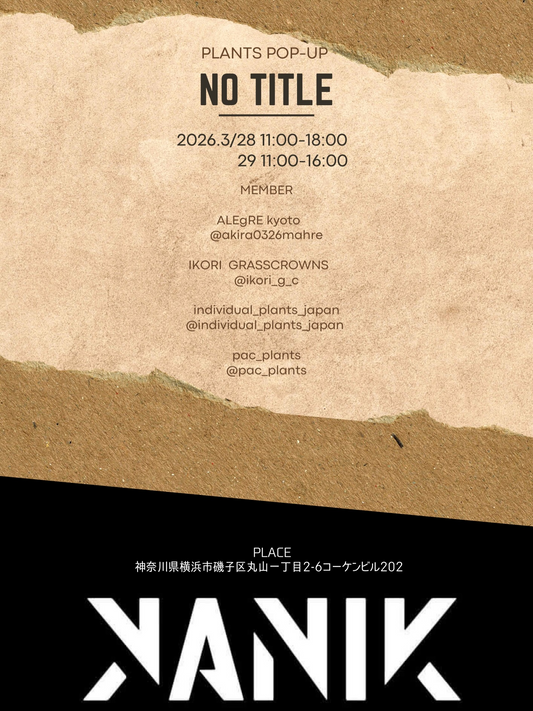 KANIKがNO TITLE2026植物販売イベントを開催、アガベ販売者が横浜磯子に集結