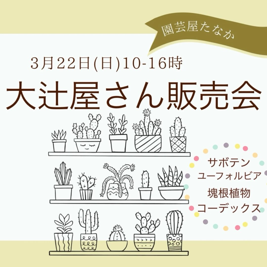 田中園芸で大辻屋さん販売会2026を開催、サボテンと塊根植物の出張販売イベント