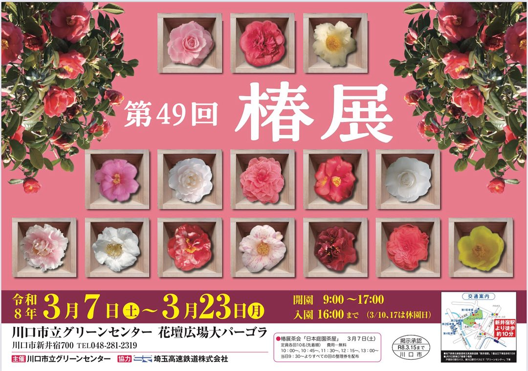 川口市立グリーンセンターが第49回椿展2026を開催、花壇広場大パーゴラで椿の展示イベント