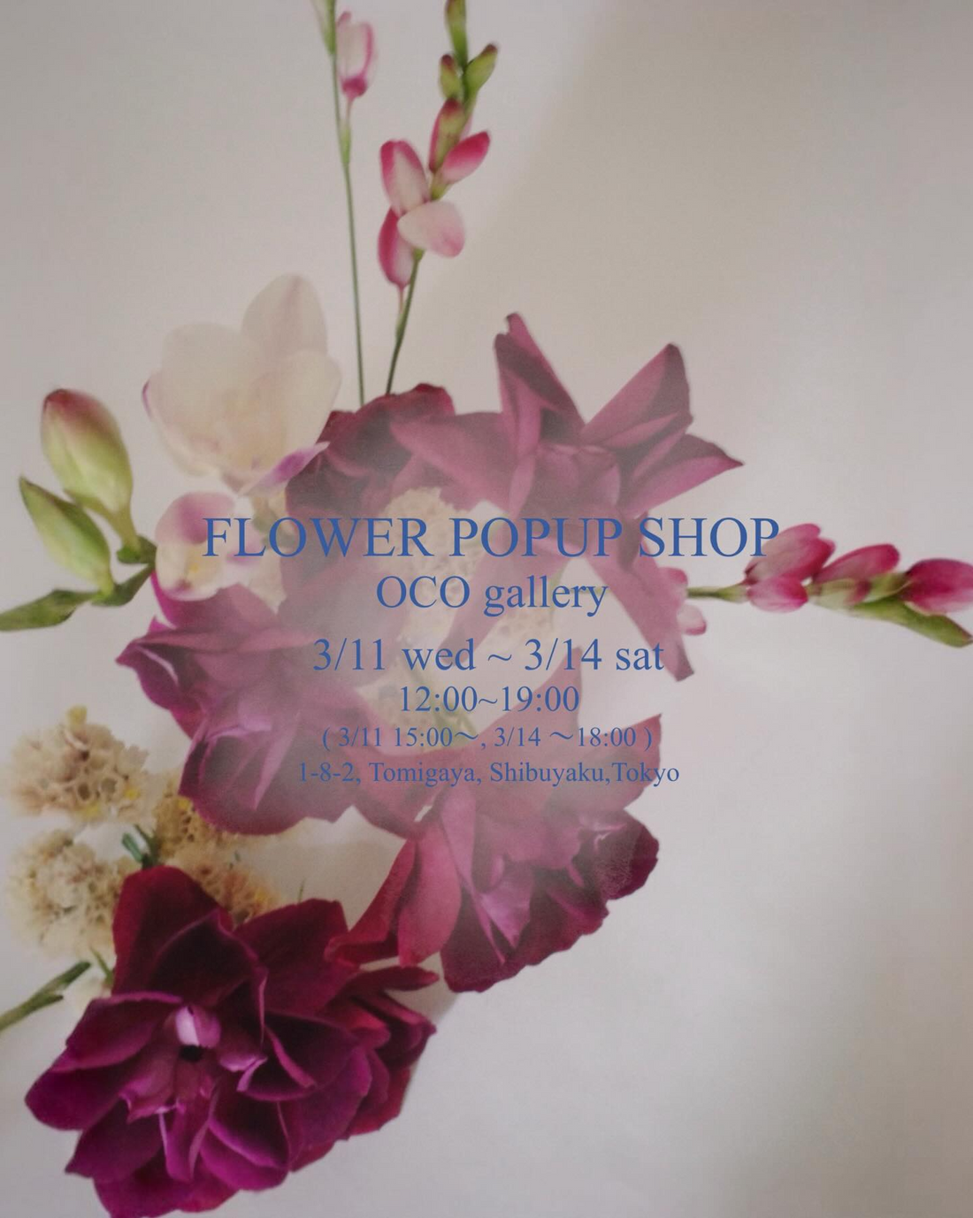 ocogalleryがFLOWER POPUPSHOP2026を開催、春の花を一輪から購入できるポップアップイベント
