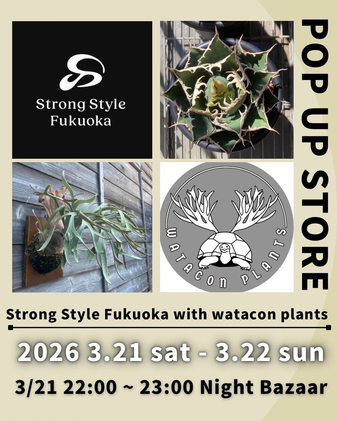 Strong Style FukuokaがStrong Style Fukuoka with Watacon2026を開催、鹿児島でアガベと塊根植物のPOPUPイベント