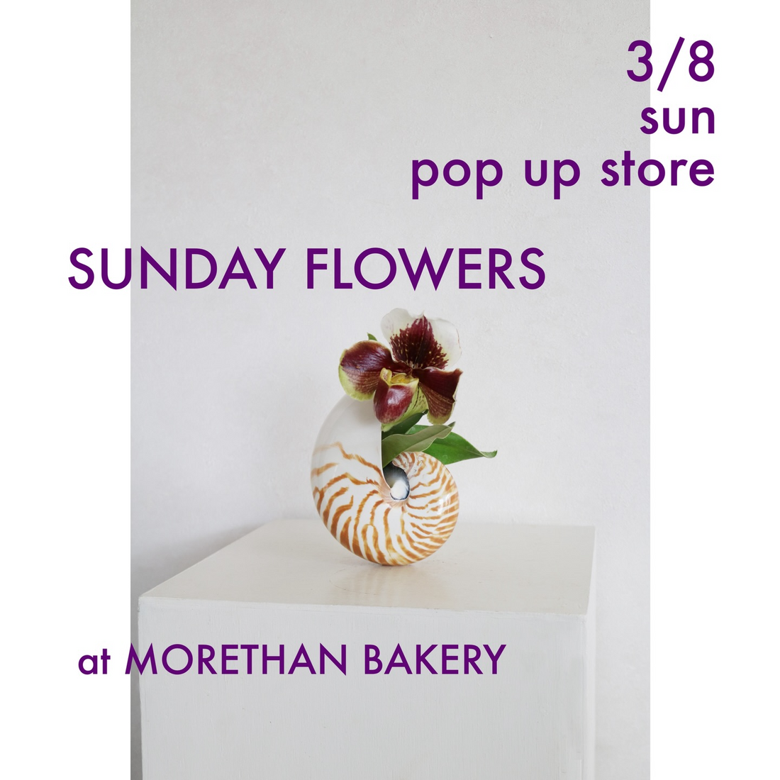 fiore soffittaがSUNDAY FLOWERS POPUP STOREを開催、MORETHAN BAKERY Shinjukuで花販売イベント
