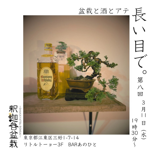 盆栽と酒とアテ長い目で第八回が開催、釈迦谷盆栽による酒と食事と盆栽鑑賞イベント