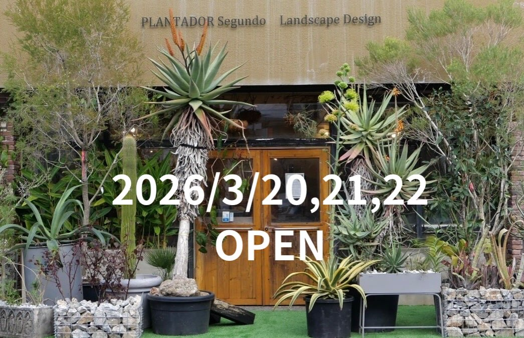 PLANTADOR Segundo植物販売お庭相談営業日が開催、沖縄浦添で一点もの植物販売と庭相談
