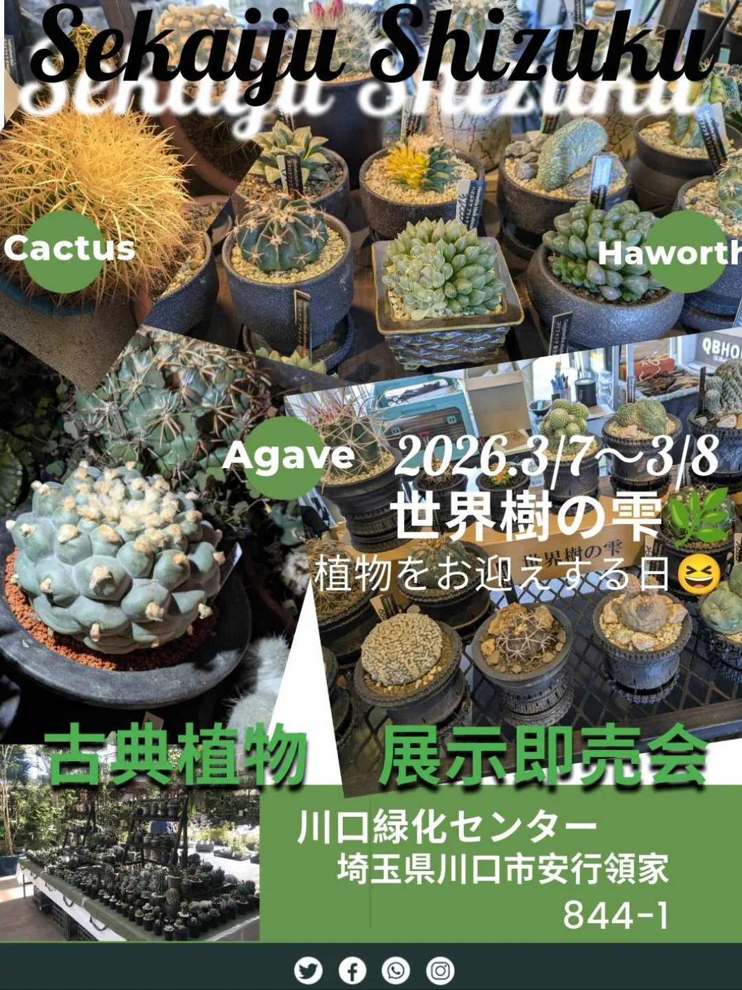 世界樹の雫2026古典植物展示即売会が開催、川口緑化センターで一点物植物が集結