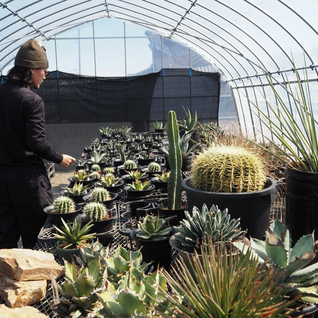 SPIKE GREEN PLANETがアガベサボテン直売所SUNDAY SPIKE GREEN PLANET MARKET2026を開催、埼玉鴻巣で植物販売