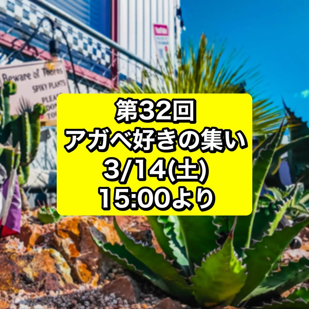 アメリカンザッカウェルカムが第32回アガベ好きの集い2026を開催、アガベ販売と交流の場が春日井に
