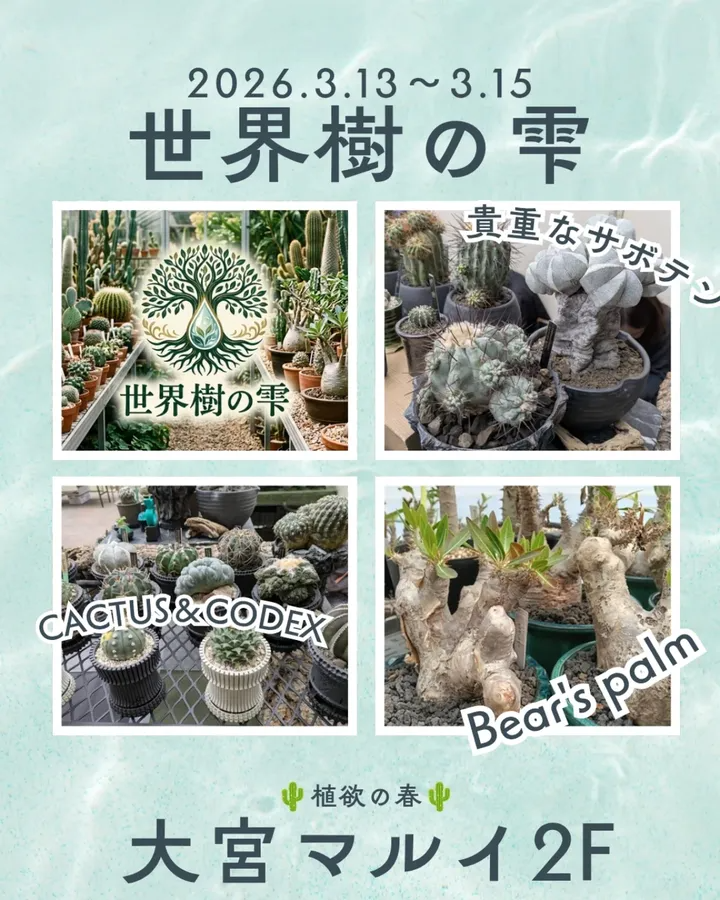 世界樹の雫2026が大宮マルイで開催、Bear's_palmが塊根植物と多肉植物の展示販売