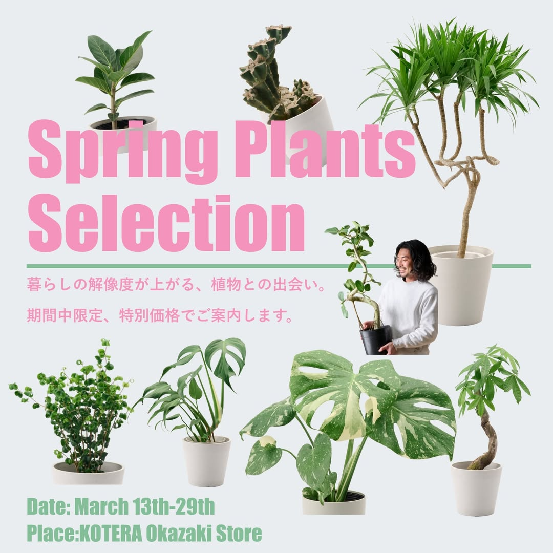 KOTERAがSpringPlantsSelection2026を開催、厳選植物の展示販売を岡崎実店舗で実施