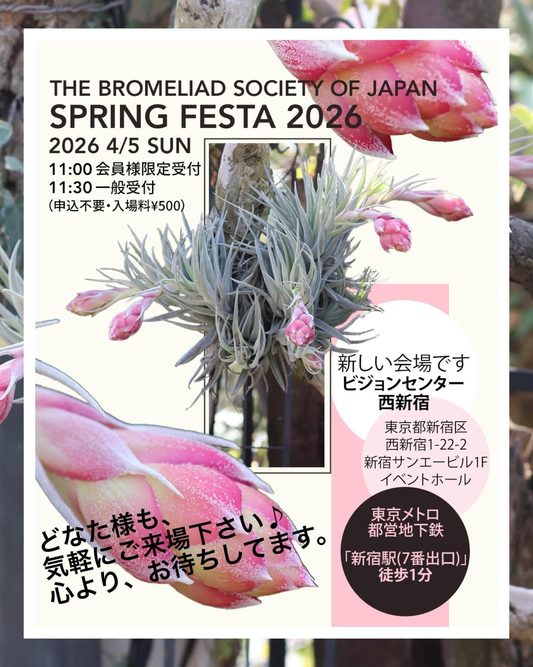 春のブロメリアフェスティバルSPRING FESTA 2026が新宿で開催、ブロメリア植物イベントが植物愛好家の注目に