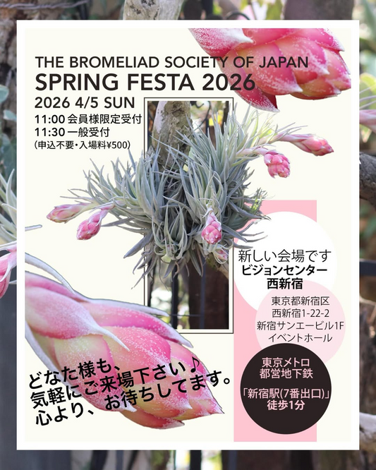 春のブロメリアフェスティバルSPRING FESTA 2026が新宿で開催、ブロメリア植物イベントが植物愛好家の注目に