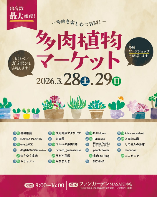 ファンガーデンMASAKI本店が多肉植物マーケット2026を開催、多肉植物販売とワークショップイベント