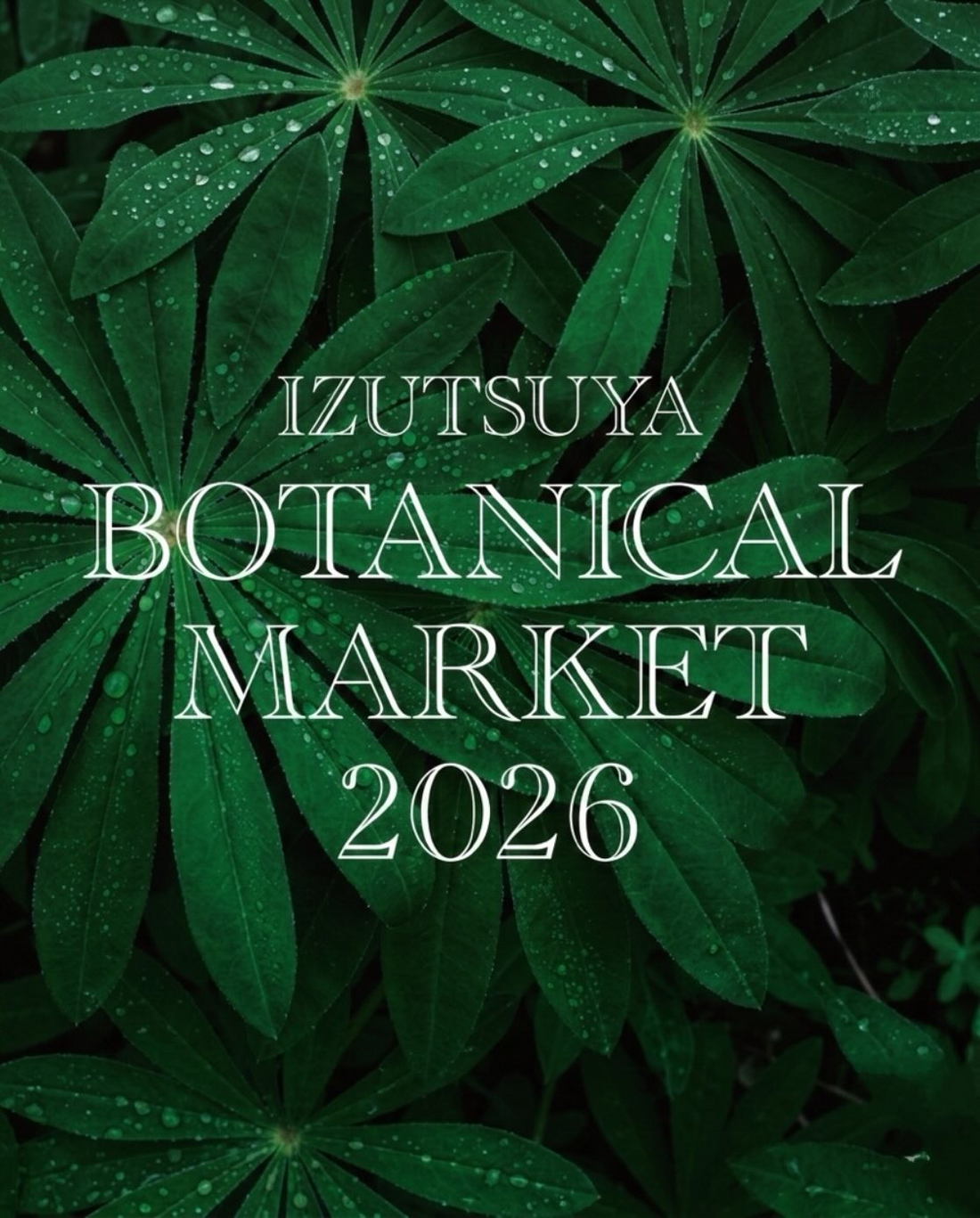 IZUTSUYA BOTANICAL MARKET 2026が小倉井筒屋で開催、観葉植物塊根植物アガベ盆栽の展示販売