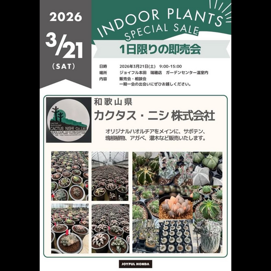 INDOOR PLANTS SPECIAL SALE2026がジョイフル本田瑞穂店で開催、ハオルチアサボテン塊根植物の即売会