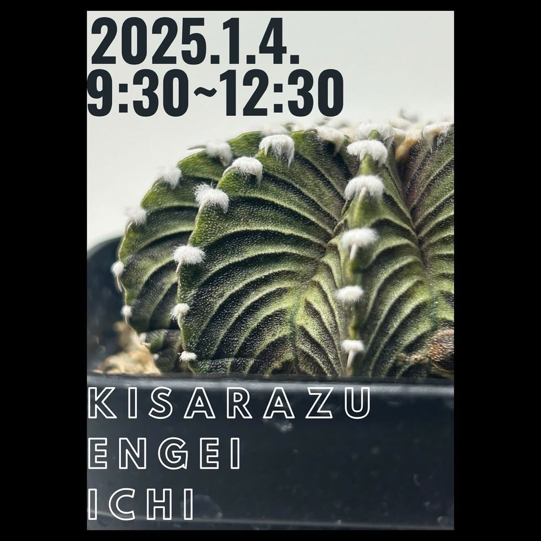 木更津園芸市がCCSAの新体制で2025年初売り開催、リーズナブルな苗販売で植物栽培の普及に貢献