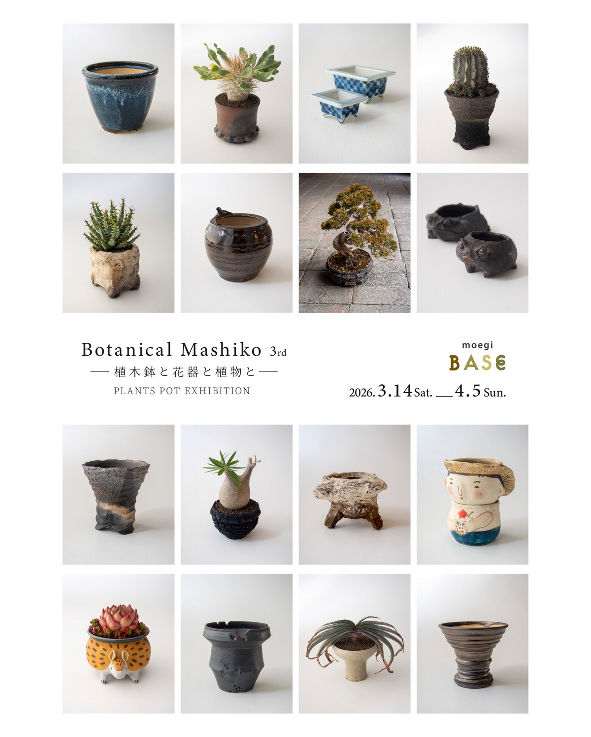 もえぎ城内坂店がBotanical Mashiko 3rdを開催、植木鉢と盆栽塊根植物