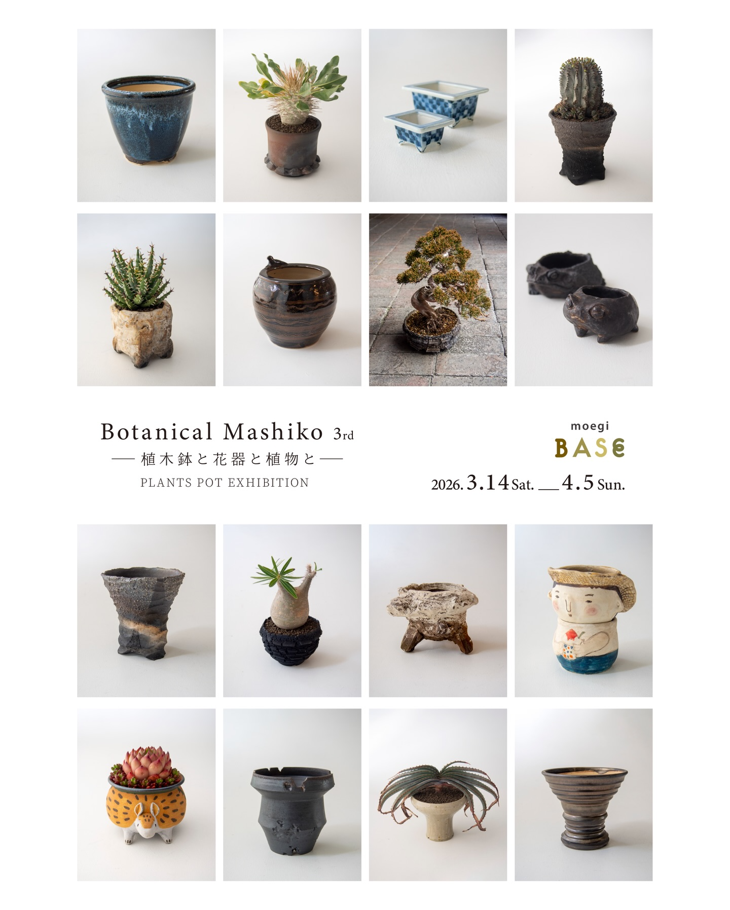 もえぎ城内坂店がBotanical Mashiko 3rdを開催、植木鉢と盆栽塊根植物