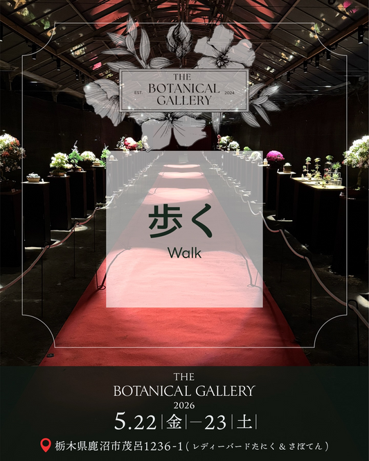 レディーバードたにく&さぼてんがTHE BOTANICAL GALLERY 2026を開催、多肉植物とサボテンの展示イベント
