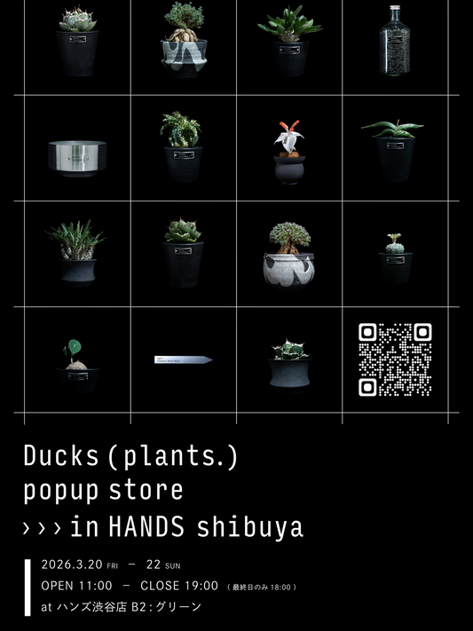 Ducks(plants.)がPOPUPSTOREを開催、ハンズ渋谷店でアガベや塊根植物など珍奇植物販売イベント