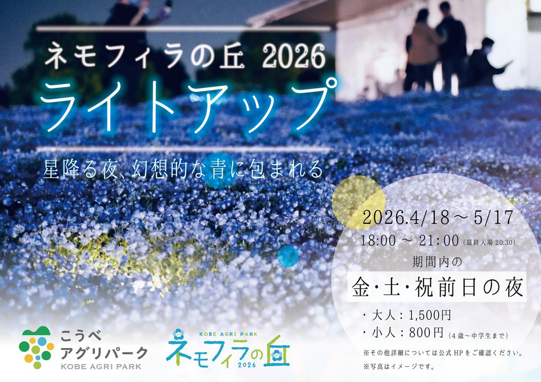 こうべアグリパークがネモフィラの丘2026ライトアップを開催、約100万輪のネモフィラ夜間観賞イベント