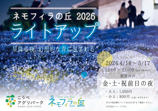 こうべアグリパークがネモフィラの丘2026ライトアップを開催、約100万輪のネモフィラ夜間観賞イベント
