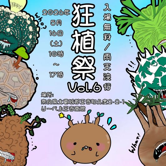 狂植祭Vol.62026が奈良りーべる王寺東館で開催、塊根植物やアガベなど珍奇植物が集まる植物イベント