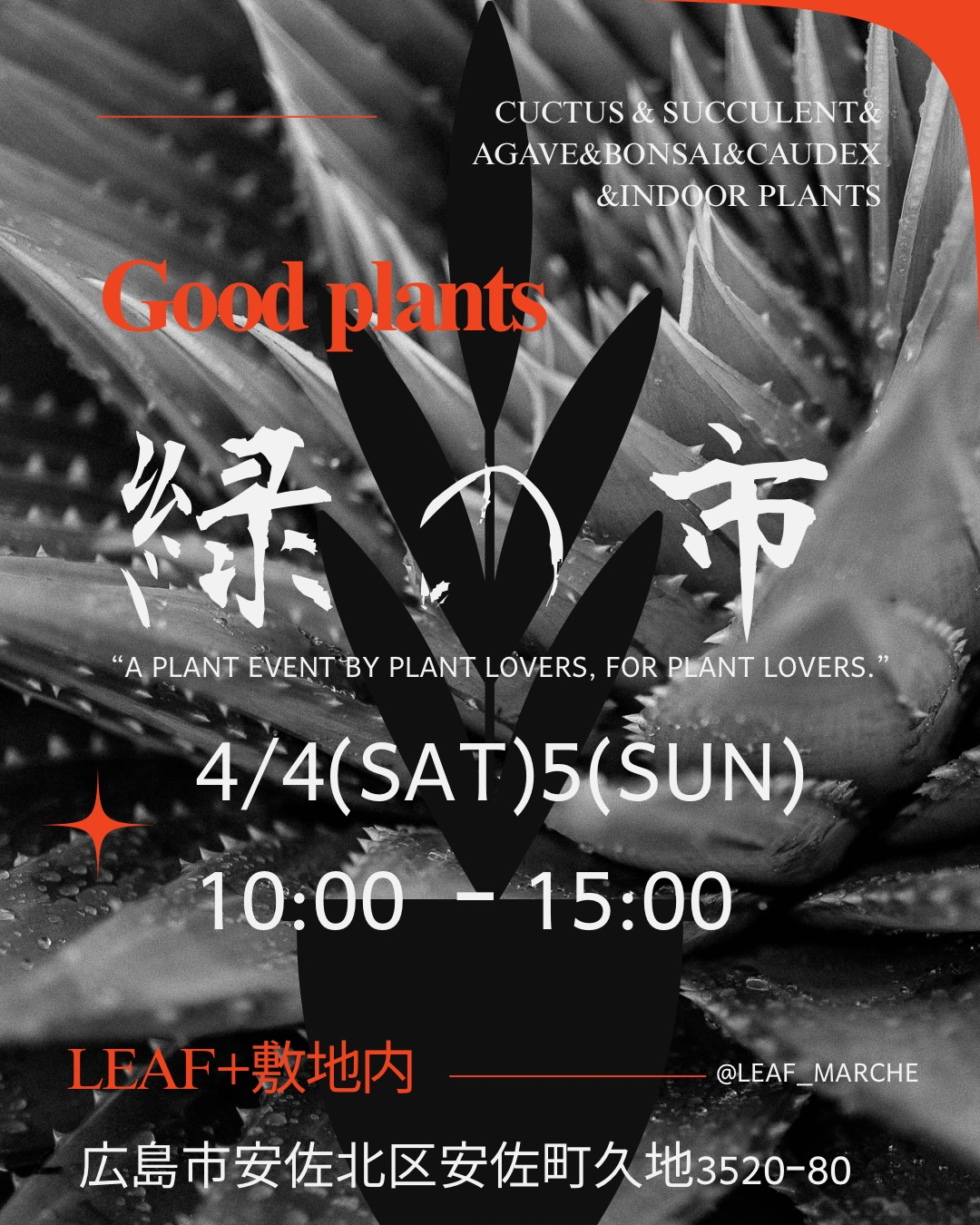 緑の市2026が広島leaf+で開催、塊根植物やサボテン販売と飲食出店が集まるイベント - リーフラ編集部