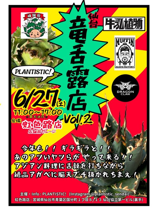 仙台竜舌露店Vol.2が虹色路店で開催、アガベ販売とアジアン料理が楽しめる露店イベント