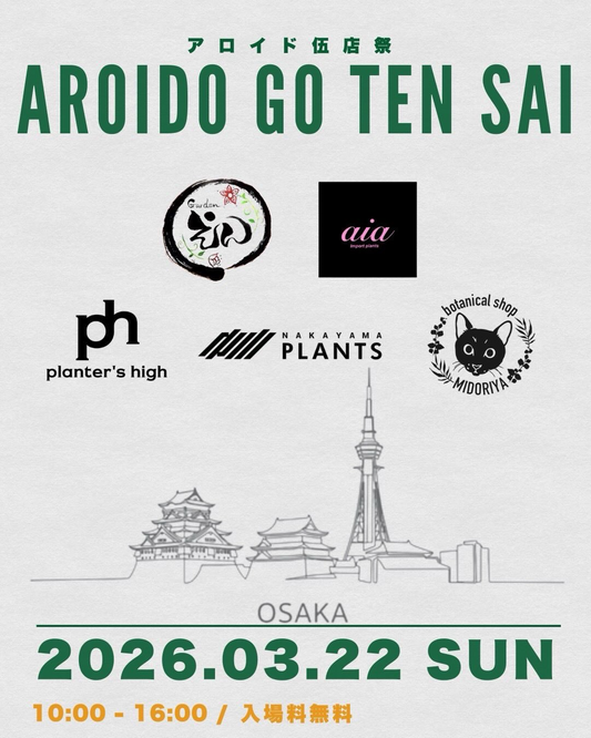 アロイド伍店祭AROIDO GOTEN SAIが大阪南船場で開催、5店舗の観葉植物販売が一日に集結