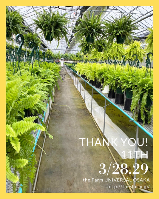 theFarmUNIVERSALOSAKA11thANNIVERSARYFES2026が開催、限定植物と生産者出店が大阪に集結