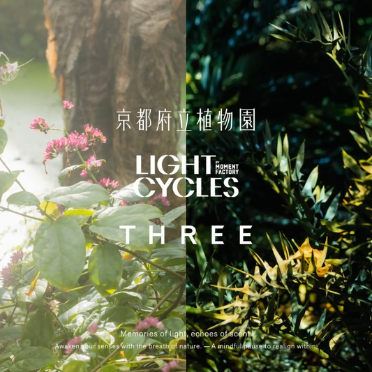 京都府立植物園LIGHTCYCLESKYOTO2026が開催、光と音の没入型アート体験が夜の植物園に展開