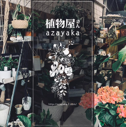 おにわdeしょっぷVol112026が開催、植物雑貨フードが集まる浜松市の屋外マーケット