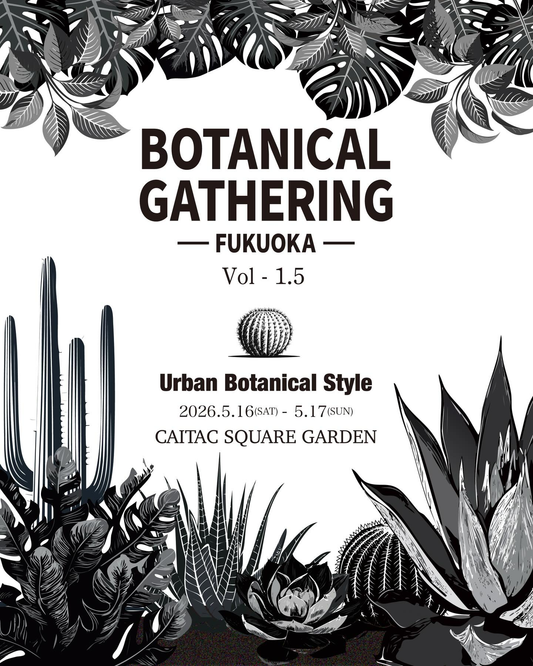 BOTANICAL GATHERING FUKUOKA Vol1.5が開催、都市型ボタニカルイベントが福岡中心部で実施