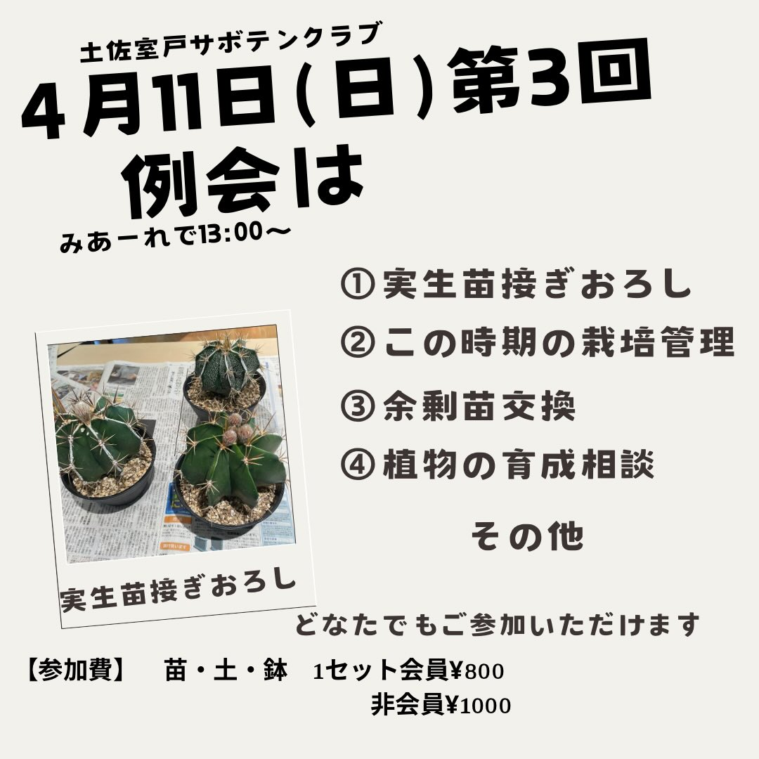 土佐室戸サボテンクラブ第3回例会が開催決定、実生苗接ぎおろしと栽培管理の学びが南国市に集まる