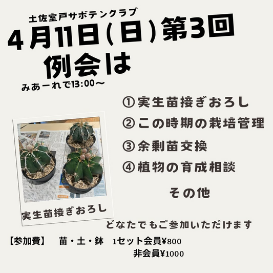 土佐室戸サボテンクラブ第3回例会が開催決定、実生苗接ぎおろしと栽培管理の学びが南国市に集まる